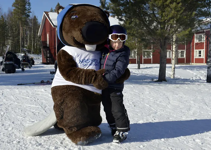 Hassela Ski Resort